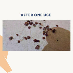 Anti-Tick & Flea Combo for Dogs & Cats